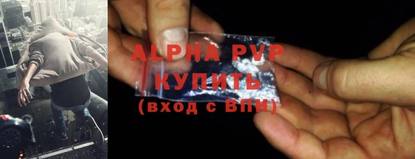 apvp Горняк